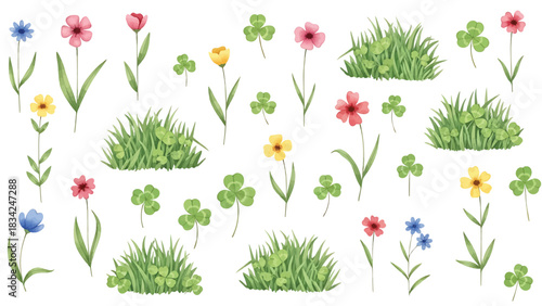 Watercolor wildflowers and clover grass illustration collection isolated on transparent background
