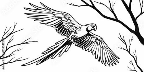 parrot, bird, tropical, nature, branch, silhouette, tree, animal, wildlife, illustration, design, decorative, exotic, art, outline, black, white, vector, leaf, avian, fauna, rainforest, jungle, perche