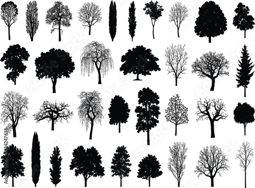 Massive Black Tree Silhouette Collection: Diverse Species Vector Bundle