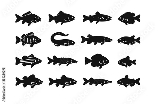 Collection of diverse fish silhouettes with varied shapes and features