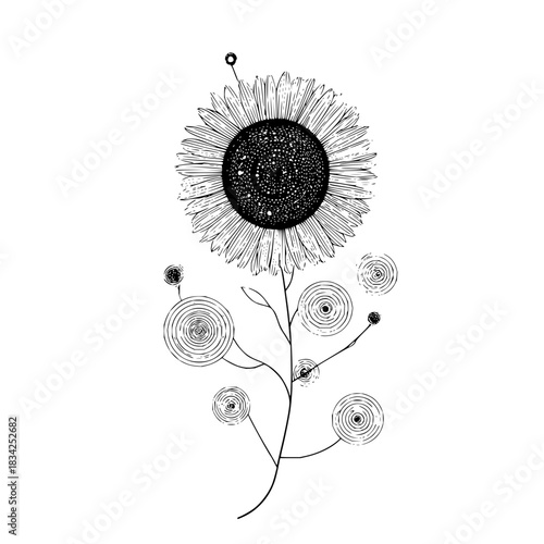 Minimalist abstract black background providing ample copy space, a versatile and clean design for high-resolution digital projects and professional presentations.