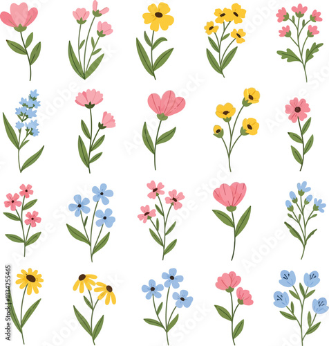 Wallpaper Mural Collection of colorful watercolor wildflower illustrations on white background Torontodigital.ca