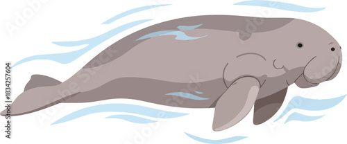 Cartoon illustration of a gray manatee swimming with water trails