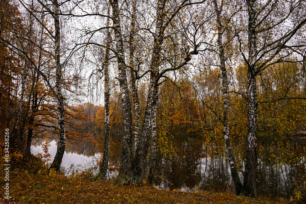 Obraz premium Autumn landscape with colorful trees reflected in water. Seasonal fall scenery with yellow and orange foliage by lake. Nature background for tranquil moment.