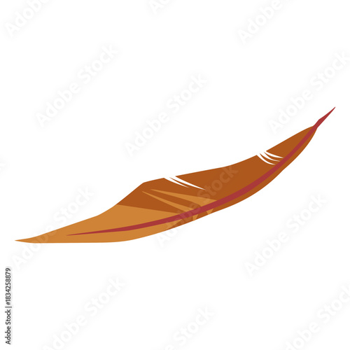 Brown colored simple feather
