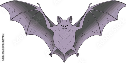 Cartoon illustration of a plump light purple bat with dark grey wings spread wide