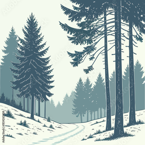 Serene Winter Forest Landscape with SnowCovered Path and Evergreen Trees.