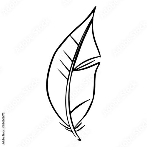 Simple oblong feather