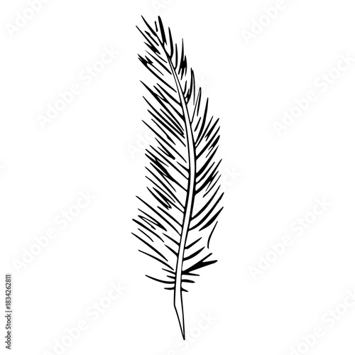 Thin strands feather