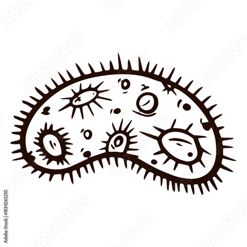 Bacterium hand drawn