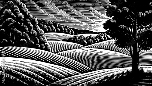 Rolling snowy hills under a soft pale sky forming a calm natural winter setting well-suited for Christmas 2026 themed artworks