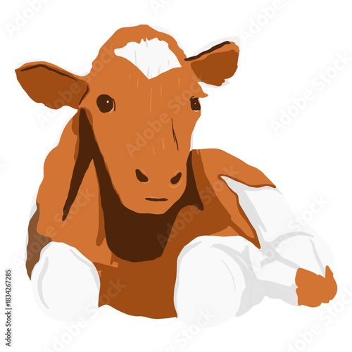 Brown cow lying down illustration