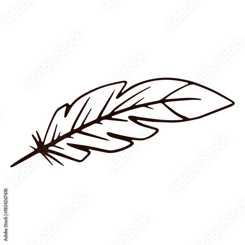 Quill pen hand drawn