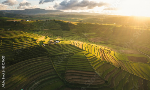 Aerial view of sunlit terraced fields and rolling hills under a cloudy sky at sunset agriculture