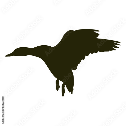 Goose silhouette wings spread landing