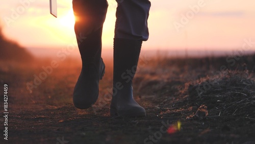 A farmer in rubber boots and a tablet in his hands walks through the green field in rubber boots, the concept of farming business, view the planted shoots of crops, the harvest of eco-crops.