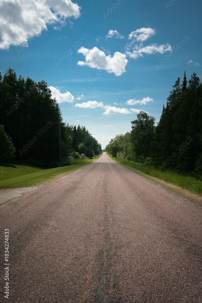 Fototapeta premium Summer afternoon on a remote forest road in northern Michigan