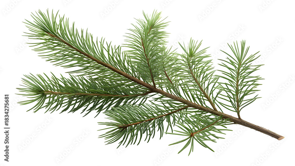 Naklejka premium small pine twig isolated on clean white background, minimal natural Christmas element, clean green needles, soft shadow, simple botanical detail 