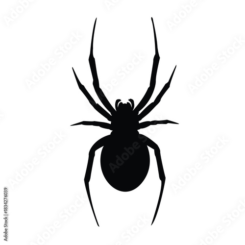 Black widow spider silhouette with eight legs isolated on a white background, representing fear, poison, and danger