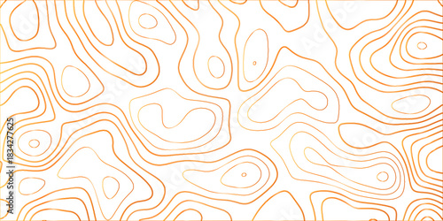 Topographic canyon geometric map relief texture with curved layers and shadow .Abstract geometric topographic contour map background. Panorama view gradient multicolor wave curve