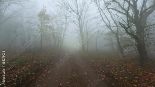 First-person view from an off-road vehicle, driving off-road in fog. Low-key twilight in the fog, filmed with an action camera.