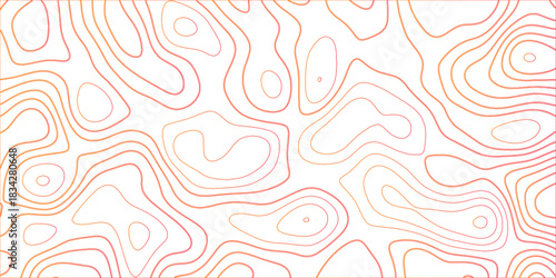 Topographic canyon geometric map relief texture with curved layers and shadow .Abstract geometric topographic contour map background. Panorama view gradient multicolor wave curve