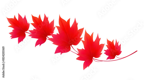 Red maple leaves branch isolated on transparent background, vibrant autumn foliage, detailed texture, natural botanical element, seasonal decoration, elegant and peaceful mood