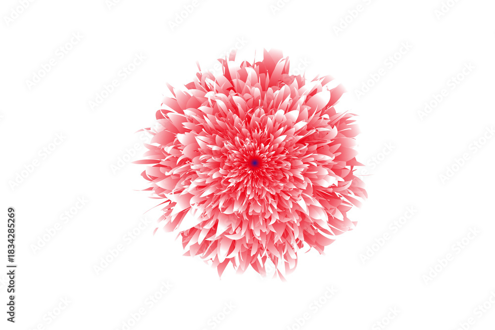 Fototapeta premium Edited flower photo with vibrant colors and soft artistic lighting, detailed floral close-up, clean background composition, high quality stock image for nature design, wall art, digital use and print 