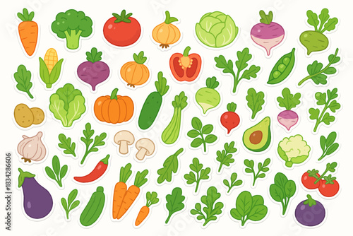 Colorful assortment of fresh vegetables with varied shapes and colors
