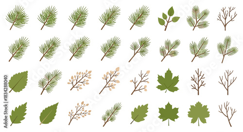 Assortment of Various Green Leaves and Branches, Isolated on White Background.