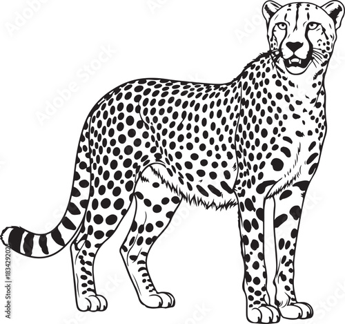 Detailed a cheetah silhouettes vector