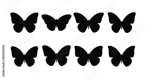 Simple black silhouettes of butterflies arranged in rows against a white background