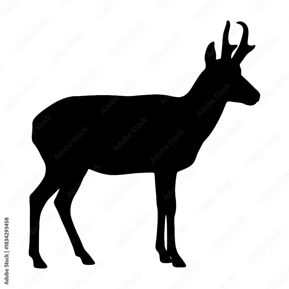 Obraz premium Isolated Vector Illustration of a Standing American Antelope Buck