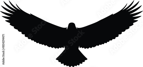 Black silhouette eagle flying wide wings isolated white