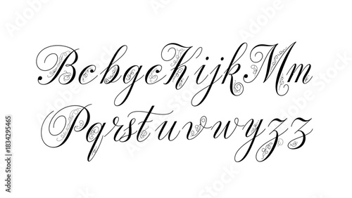 Elegant cursive alphabet with decorative flourishes, showcasing uppercase and lowercase letters.