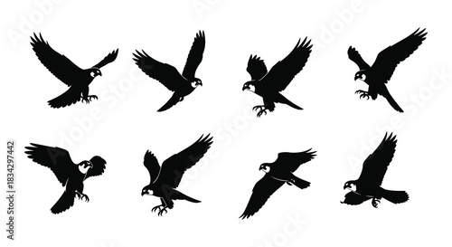 A collection of eight black silhouettes depicting birds in various flight poses
