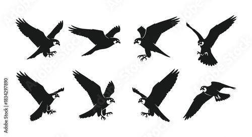 A collection of eight black silhouettes depicting birds in various flight poses