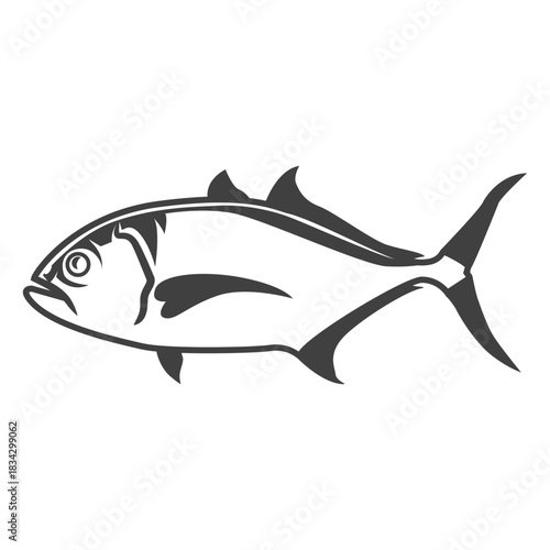 Amberjack fish illustration