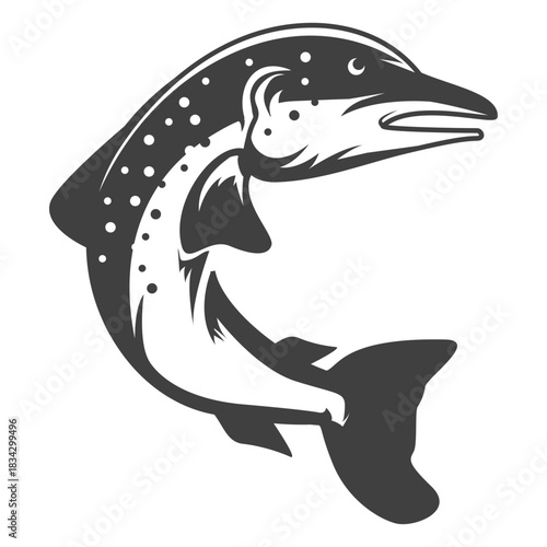 Dolphin fish illustration