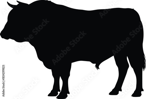 Black silhouette of a powerful bull
