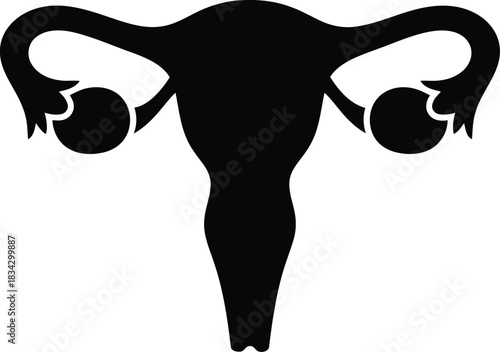Female reproductive system silhouette icon