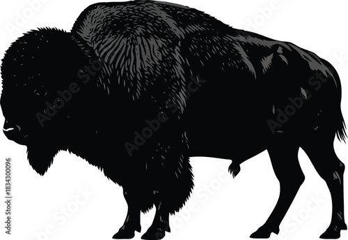 Black buffalo silhouette on white background