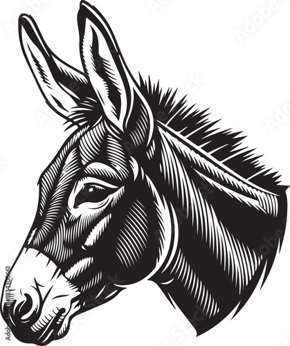 Detailed black and white engraving style illustration of a donkey's head animal portrait