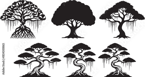 Six black silhouettes of various trees on white background nature plant