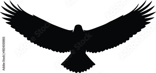 Black silhouette eagle flying wide wings isolated white