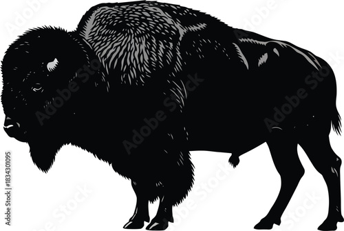 American bison silhouette vector illustration