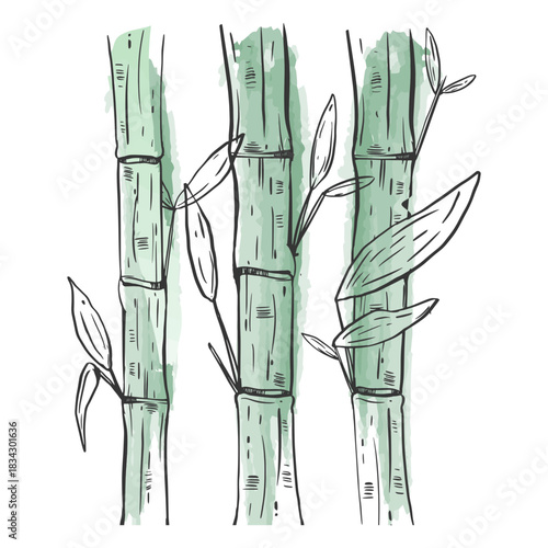 Bamboos drawn awesome
