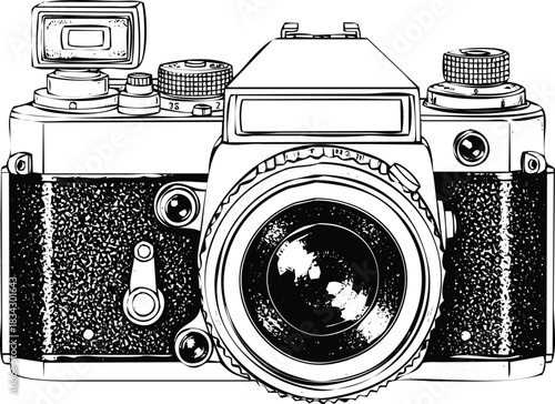 Cute hand-drawn sitting panda bear illustration, isolated design