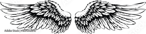 Detailed graphic illustration of an angel's stylized bird wings
