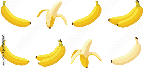 Yellow Banana Fruit Collection Vector Illustration Showing Whole Peeled and Bunch Bananas Isolated on White Background Healthy Food Concept
